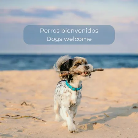 아파트 Fresh Lemonade Con Piscina, Ac, Doble Terraza, Cocina Completa Y Parking *