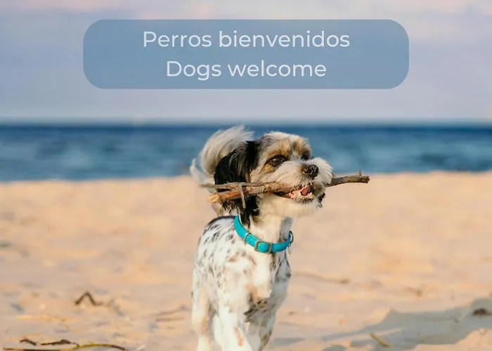 Apartmán Fresh Lemonade Con Piscina, Ac, Doble Terraza, Cocina Completa Y Parking *