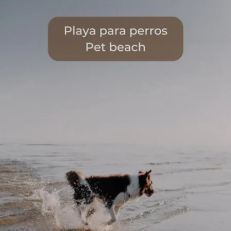 Fresh Lemonade Con Piscina, Ac, Doble Terraza, Cocina Completa Y Parking Lägenhet Corralejo