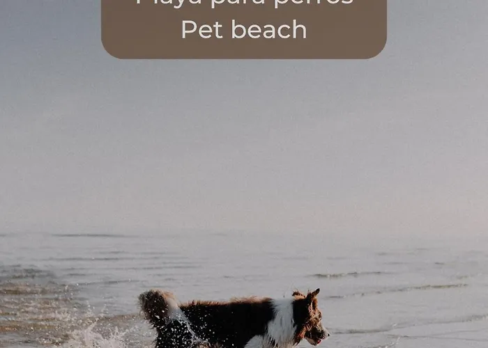 Fresh Lemonade Con Piscina, Ac, Doble Terraza, Cocina Completa Y Parking Apartamento Corralejo